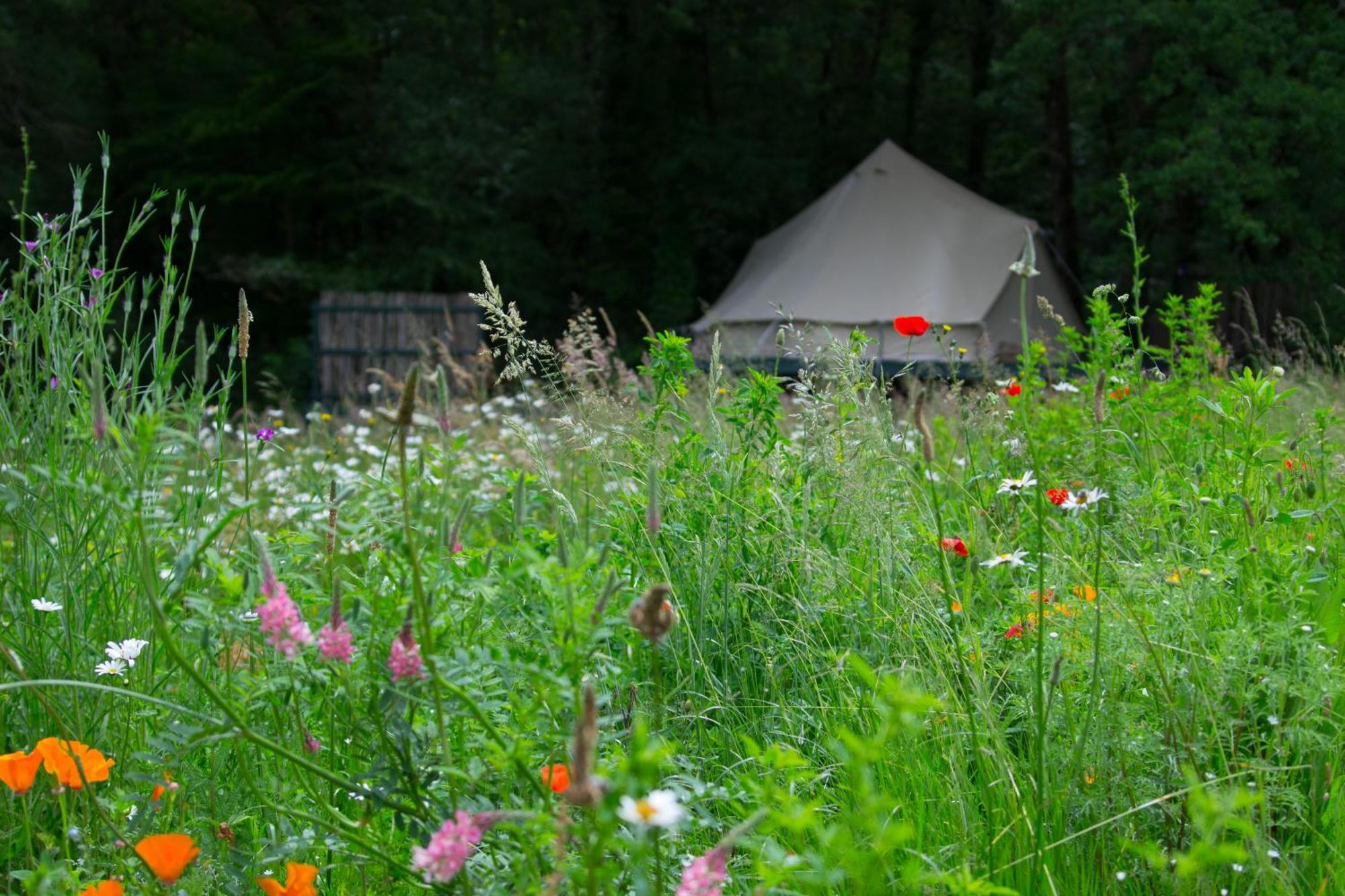 Belair Le Camping Champagnac-de-Belair Exterior photo