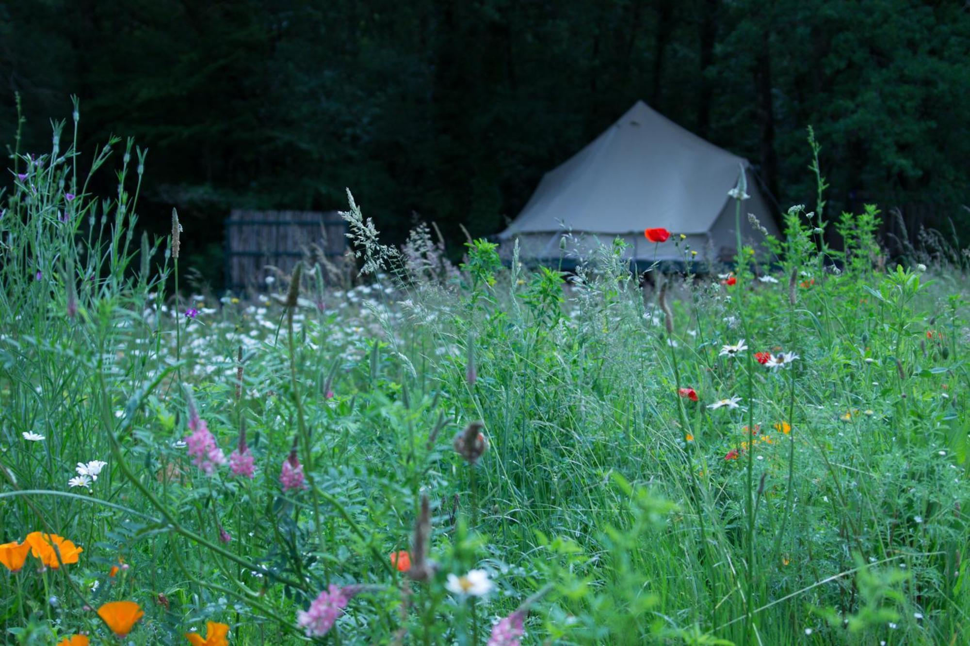 Belair Le Camping Champagnac-de-Belair Exterior photo